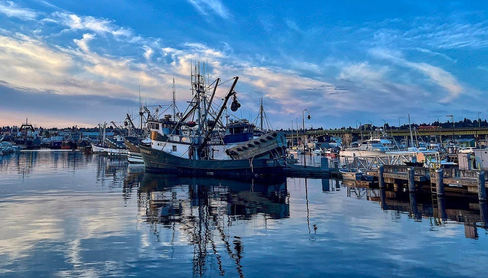 Fisherman's Terminal at dusk