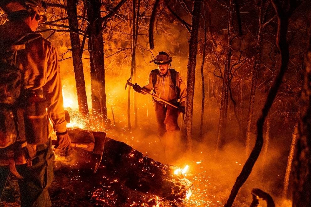a wildland firefighter stands in the middle of a wildfire