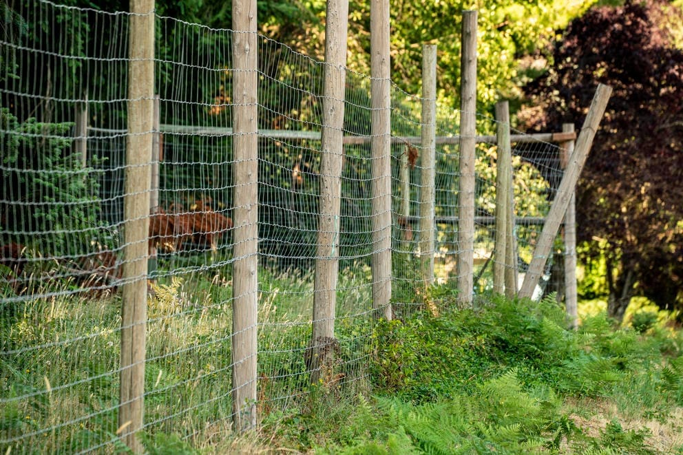A high wire fence in a field.