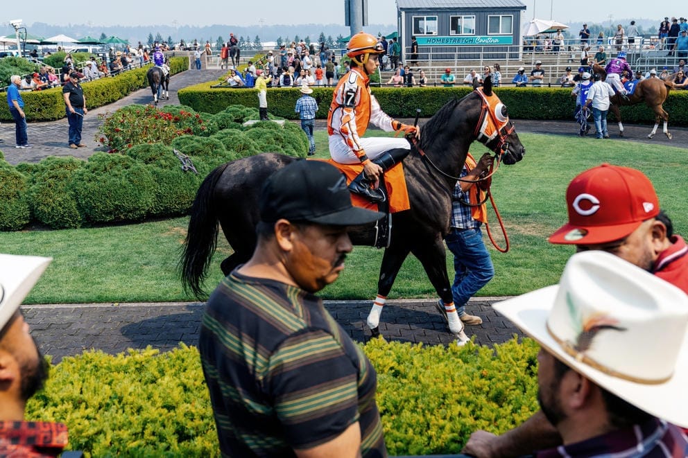a jockey rides a horse