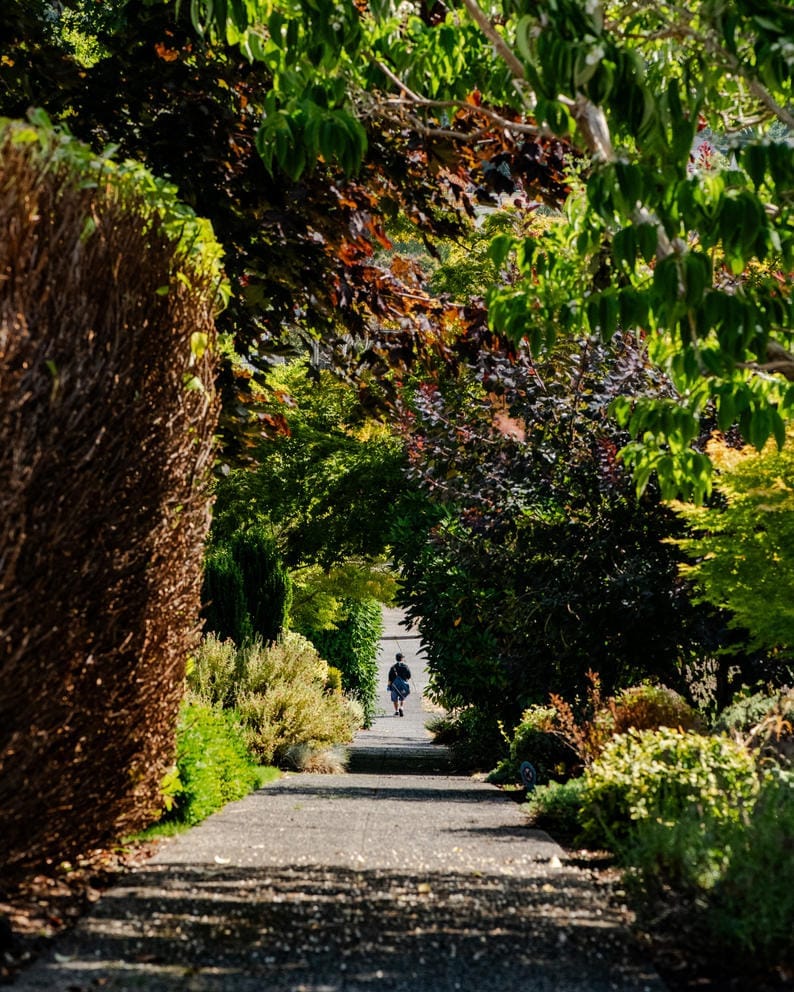 A letter carrier walks along the shaded sidewalk
