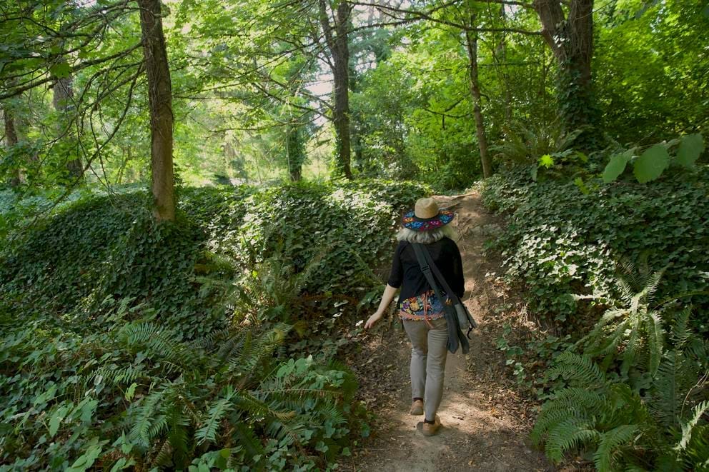 a person in colorful clothing walks up an incline in a forested park
