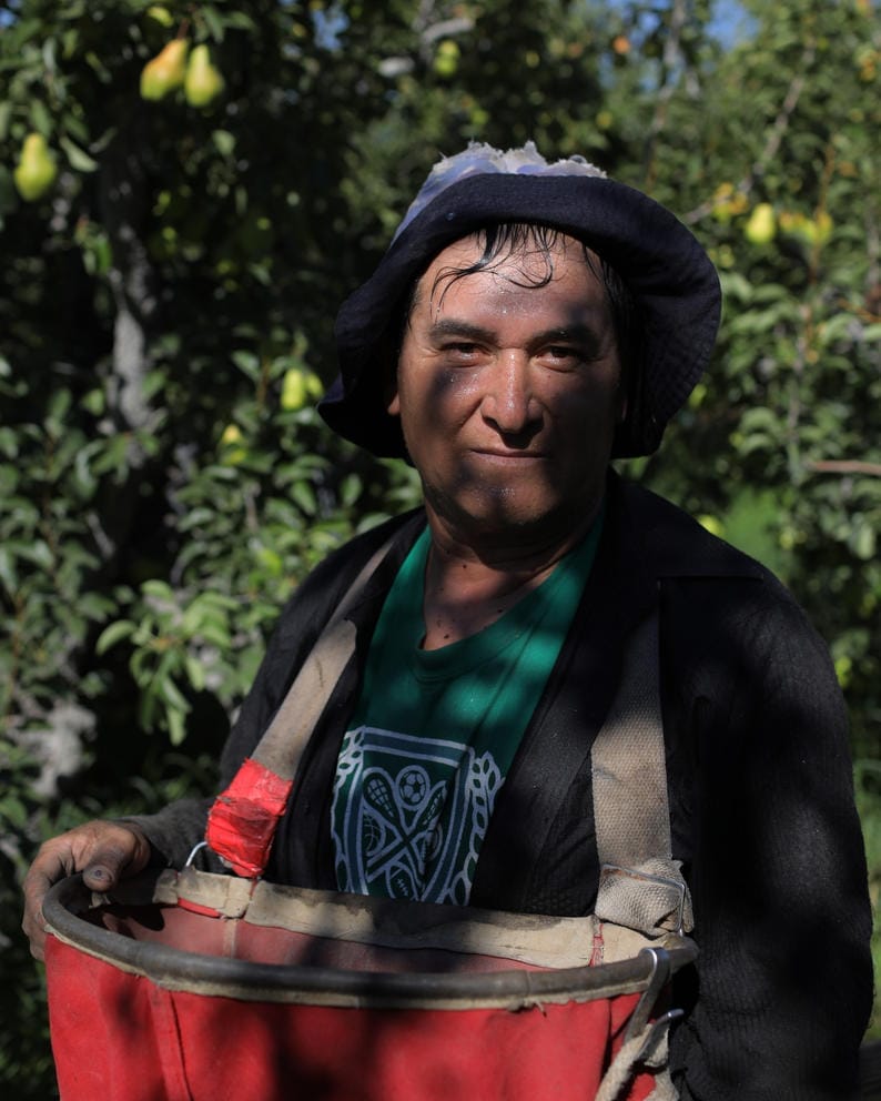 A portrait of a farmworker in partial shadow