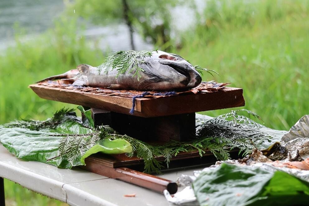 A salmon rests on a wooden platform surrounded by greenery.