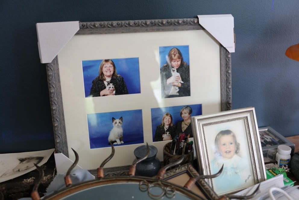 several photos in a picture frame