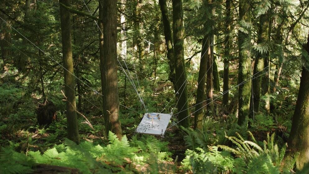 photo of a white canvas suspended by wires in deep green woods