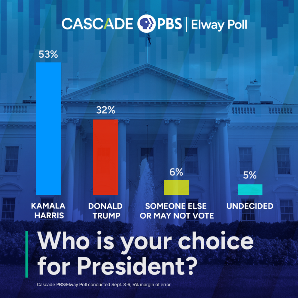 a bar chart showing 53% of poll respondents support harris, 32% trump, 6% someone else, and 5% undecided