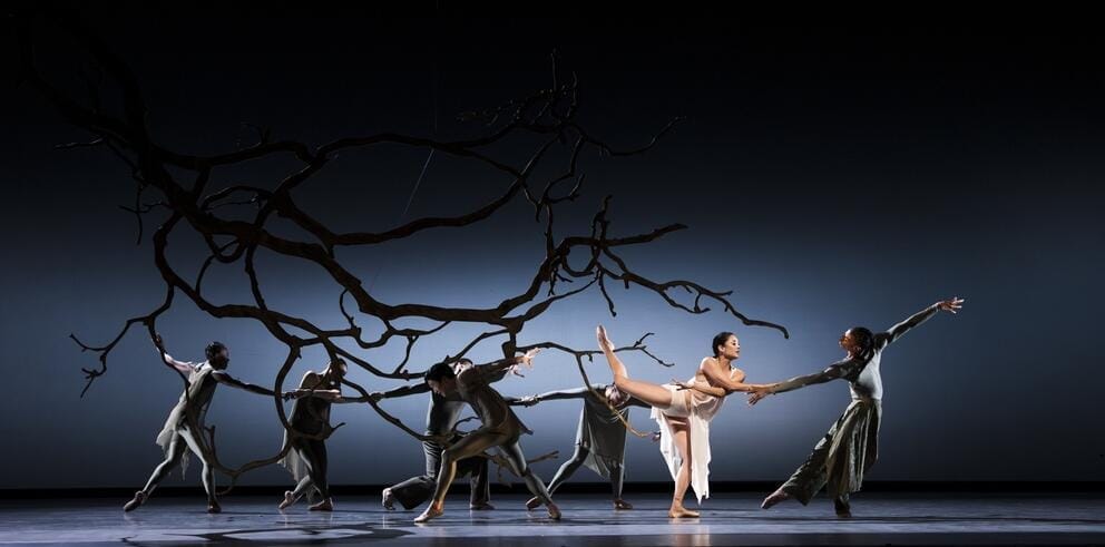 ballet dancers on a dark stage with a huge branch hovering above