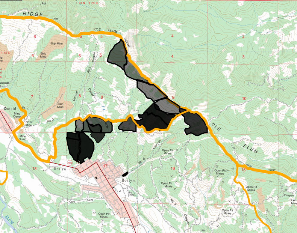 A topographical map of Roslyn and the surrounding woods.