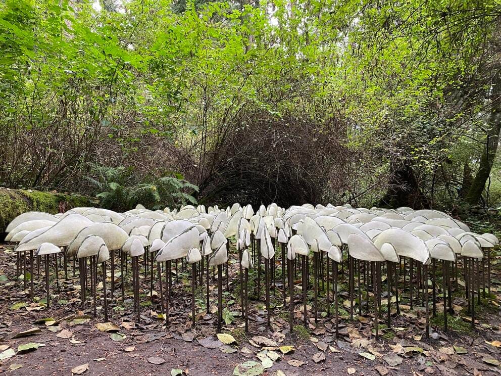 photo of a sculpture of a cluster of white forms in a forest