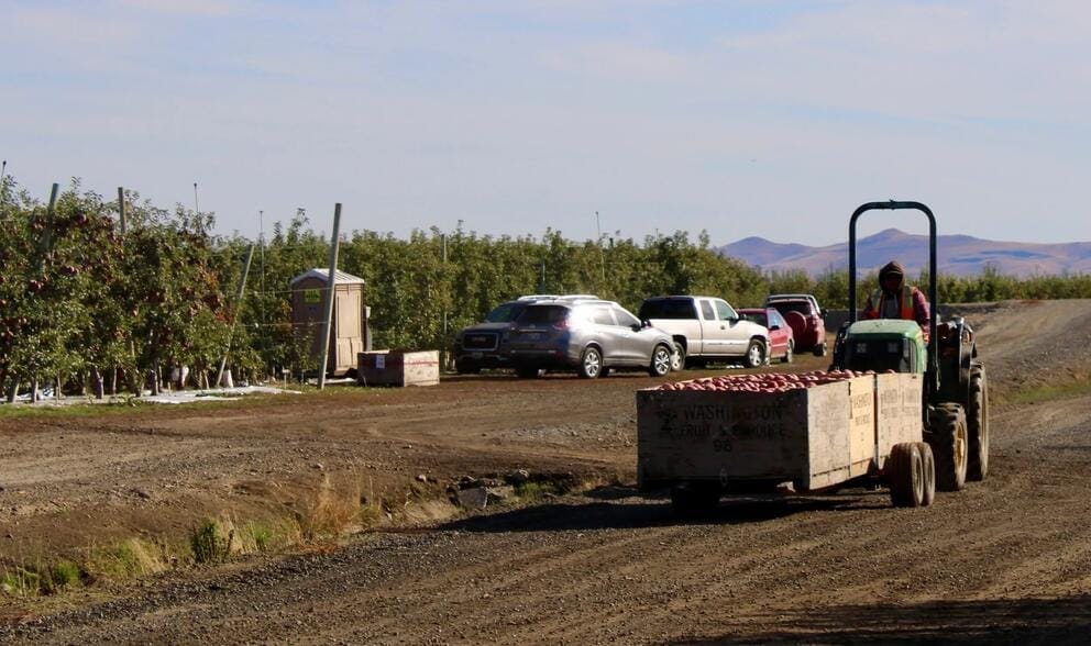 Car are parked outside an apple orchard as a farmworker drives equipment loaded with apples.