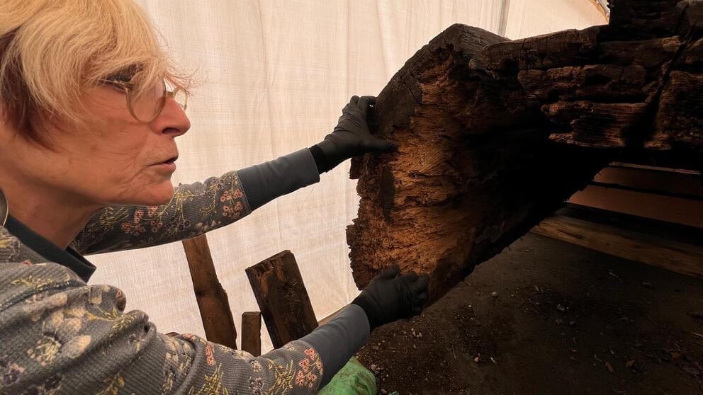 A person inspects rotten wood at the bottom of a totem pole.