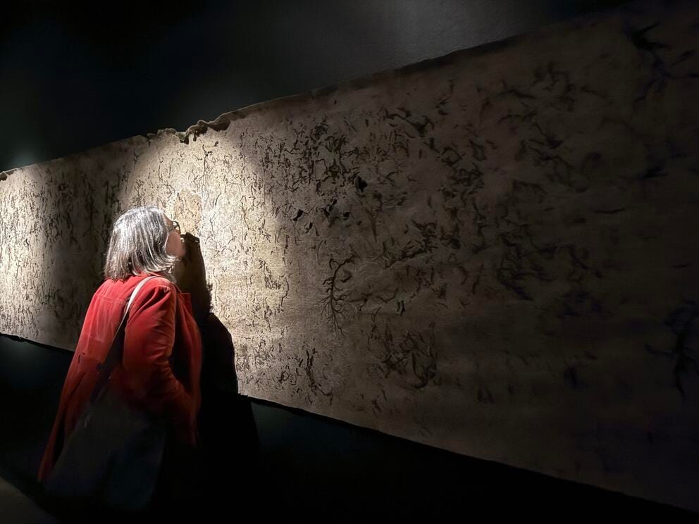 a woman in a red jacket sniffs a burlap tapestry on a wall