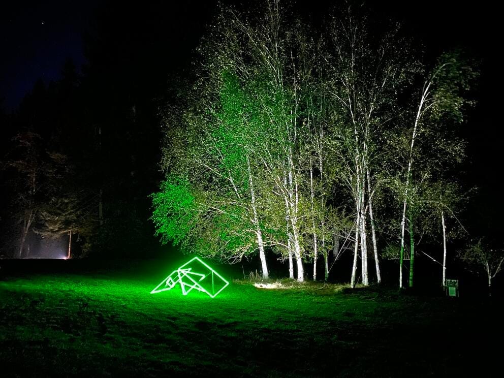 photo of a grove of trees at night with an abstract neon sculpture in green