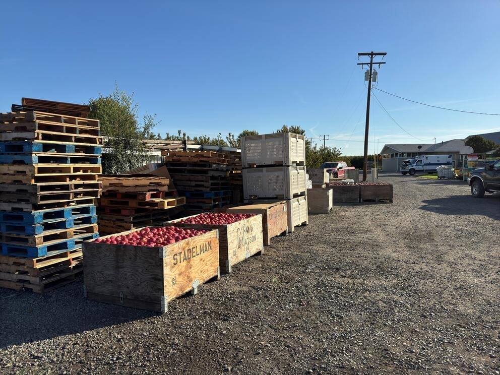 Large wooden crates filled with apples and pallets sit on a gravel lot.