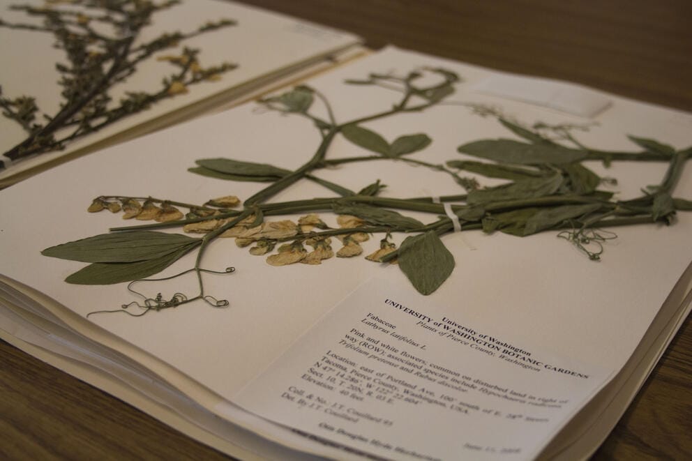 guidebook to plants at the Center for Urban Horticulture at UW