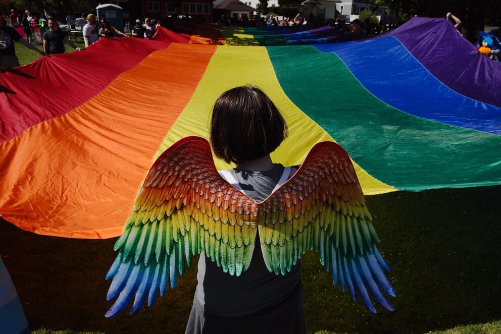 A person with their back turned wearing rainbow angel wings stands in front of a large rainbow flag