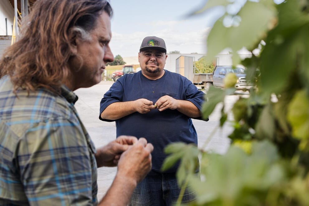 Junior Loza is seen smiling between a hops vine and another man