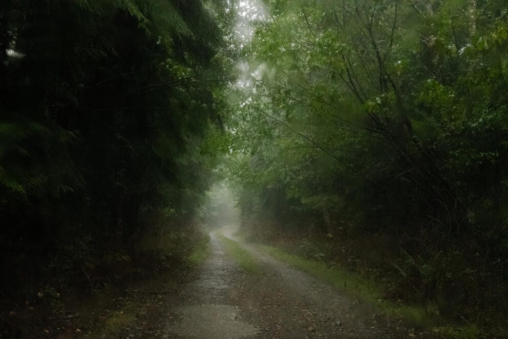 An unmarked road in Olympic National Forest pictured during heavy rains.