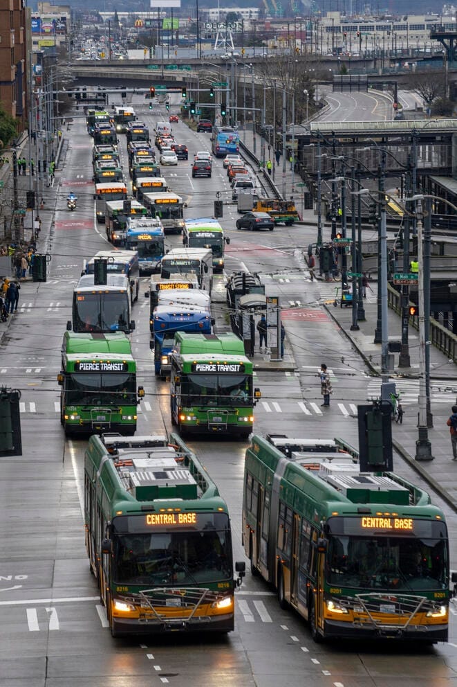 dozens of buses drive down fourth avenue in a procession