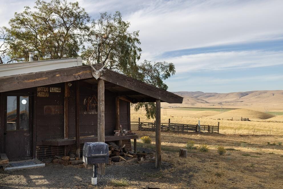 shack with antlers pinned to roof