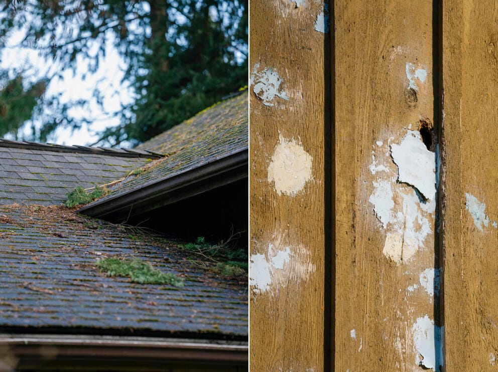 Two images. One of a roof with pine needles on it, and the other image shows spackle on several fence boards