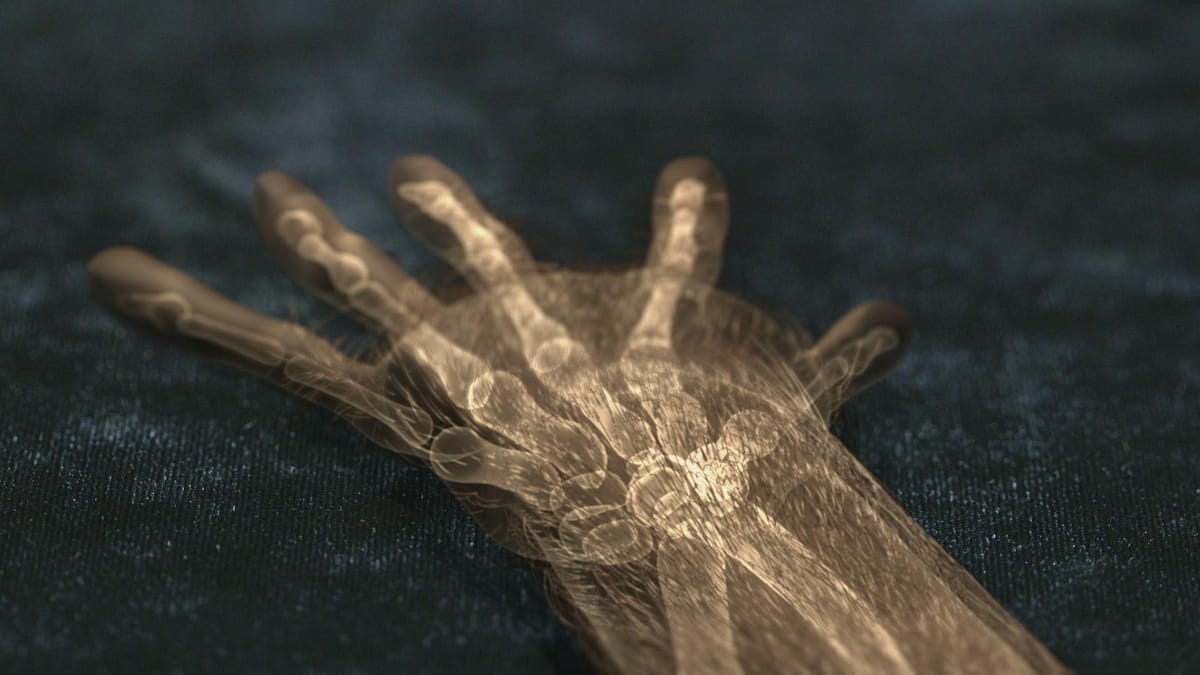 Humans Hannds The Human Hand: A Gift from Ancient Primates | Cascade PBS