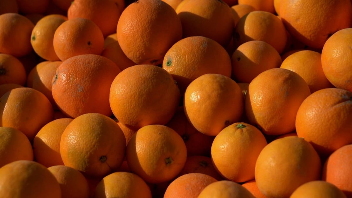 Mandarin farmers explain why this tiny, easy-to-peel fruit is exploding ...