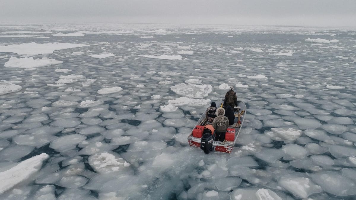 Trailer | One With the Whale | Cascade PBS