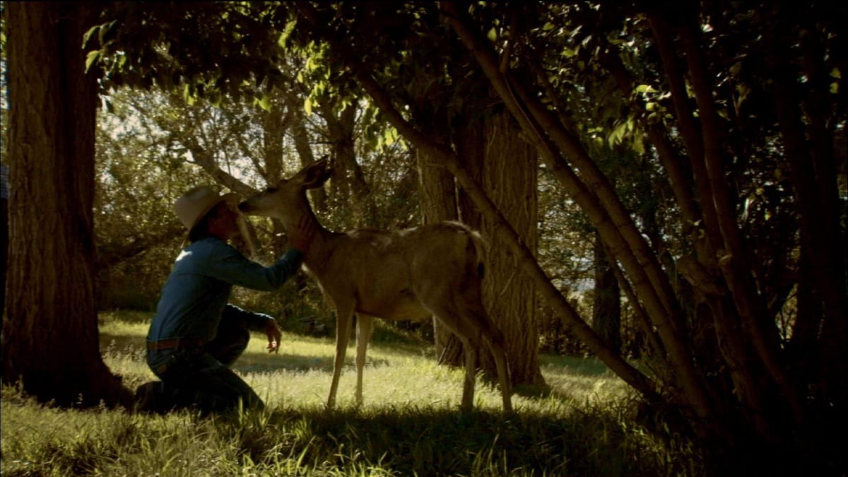 Mule Deer Family Rituals | Cascade PBS