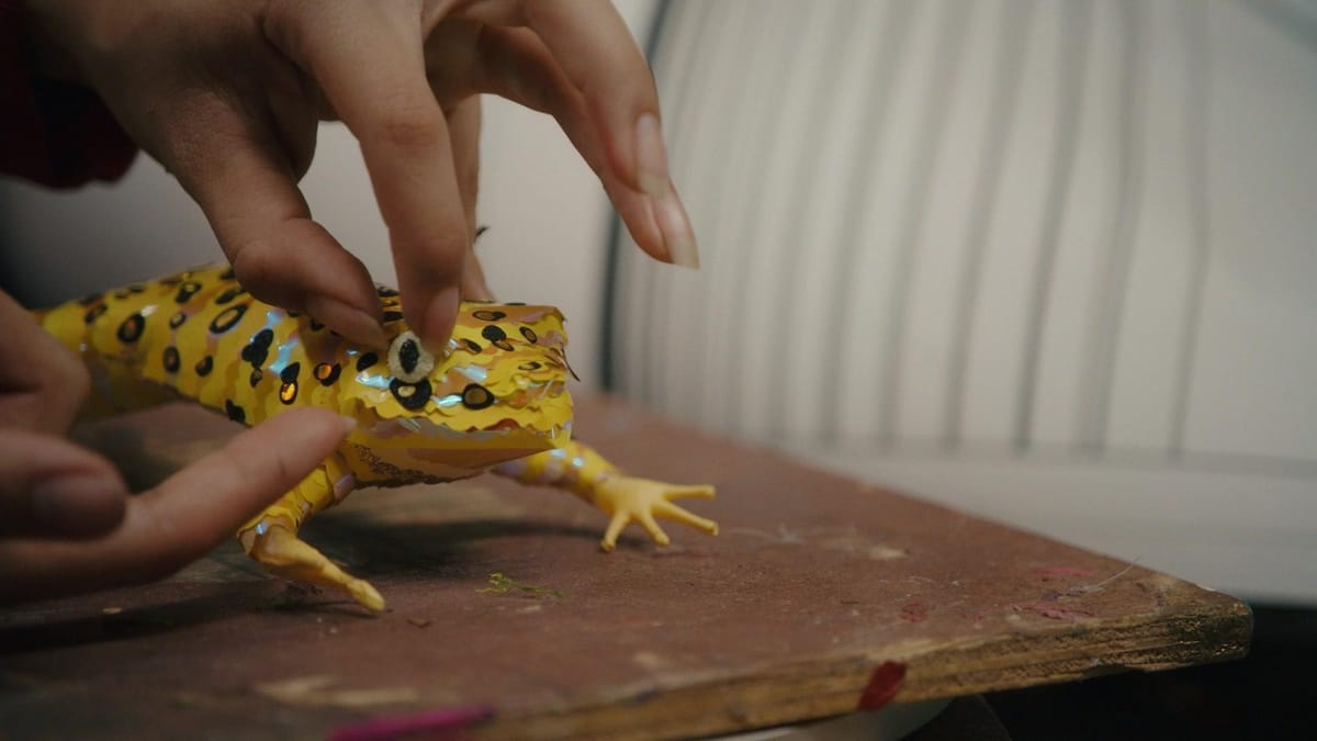Pinata And Risk Special Species: Piñata Art Celebrates At-Risk Animals | Cascade PBS