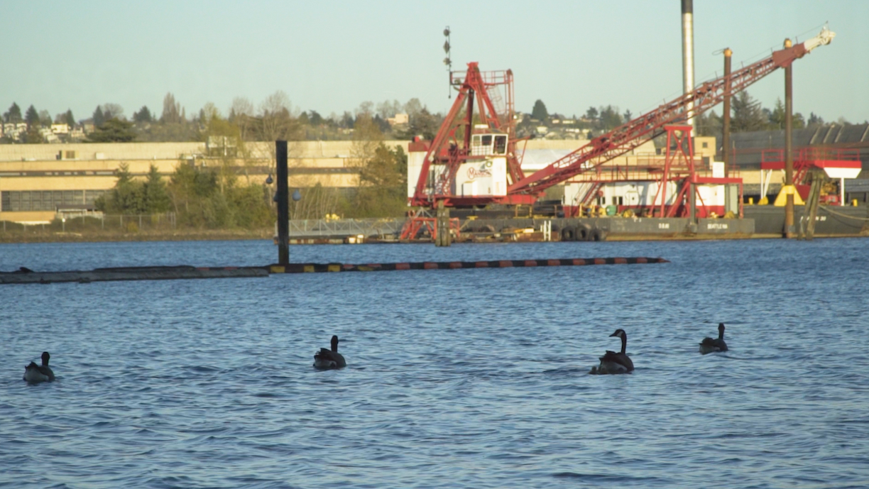 Challenges and progress in Washington environmentalism