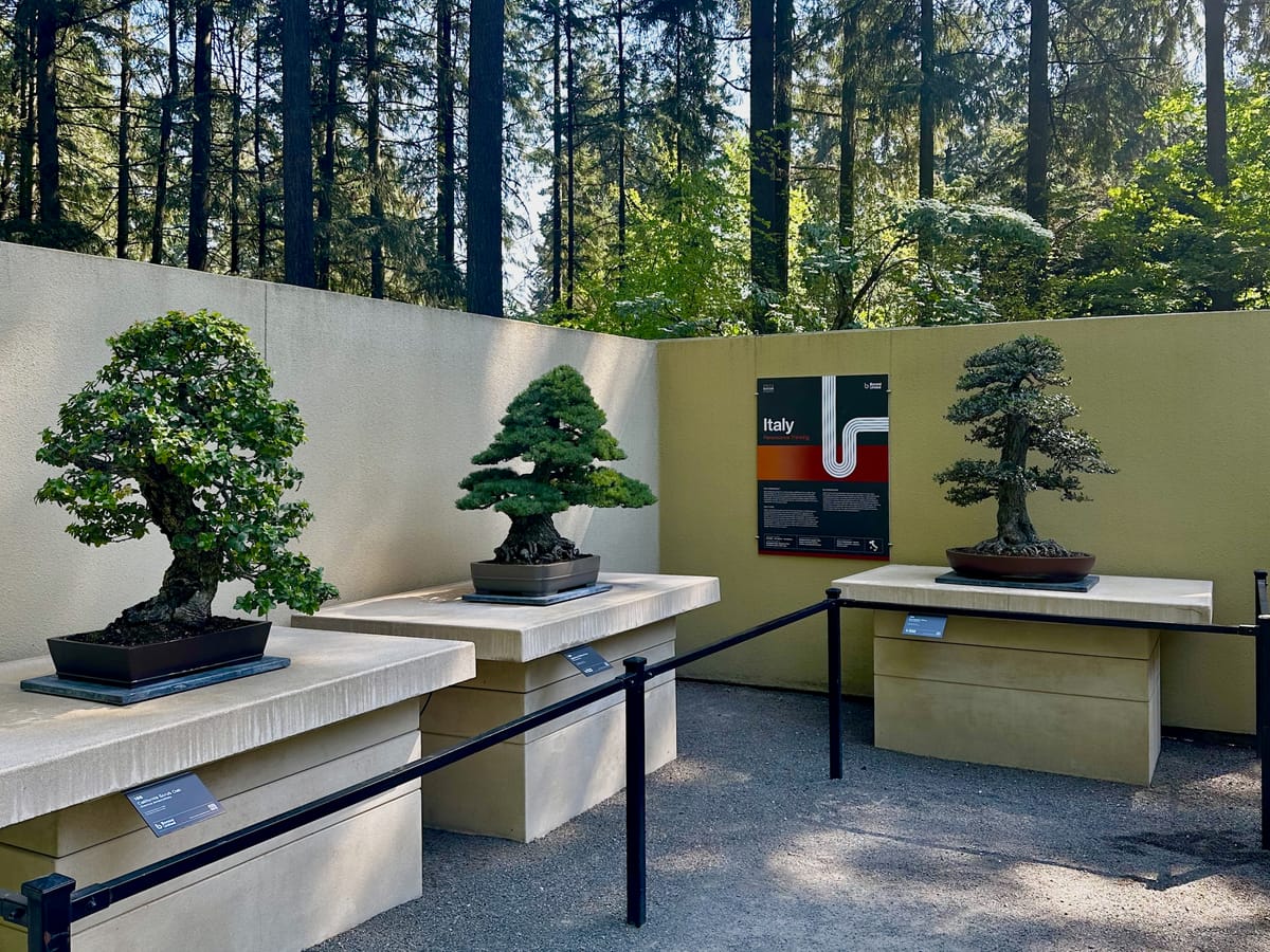 Even the tiniest trees are rising to the World Cup occasion