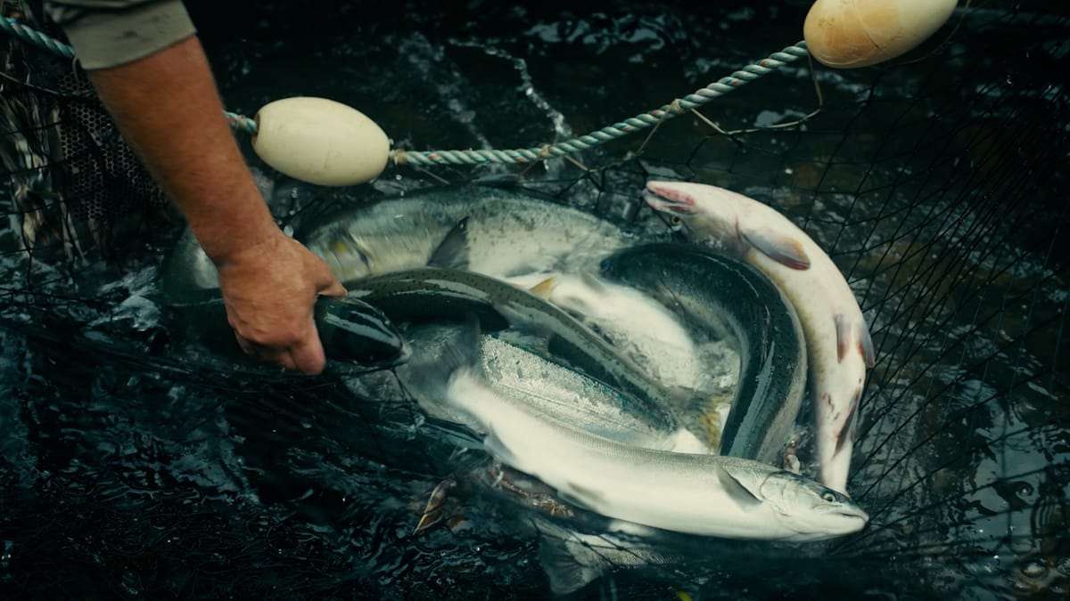 Exploring some of the ways food is sourced in the Pacific Northwest