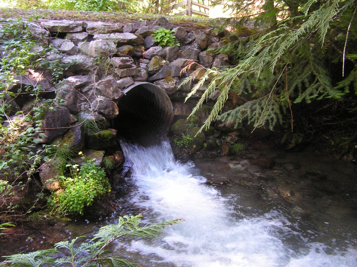 Fixing culverts could save the orcas — but who will pay? | Cascade PBS