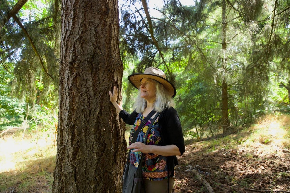 The effort to save SeaTac’s biggest forest amid airport expansion