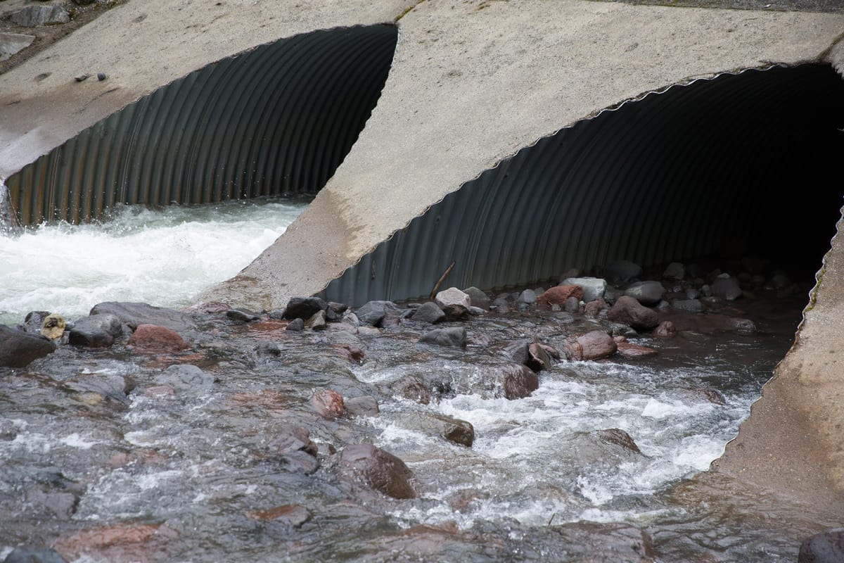 A federal program could fix Washington’s salmon-killing culverts ...