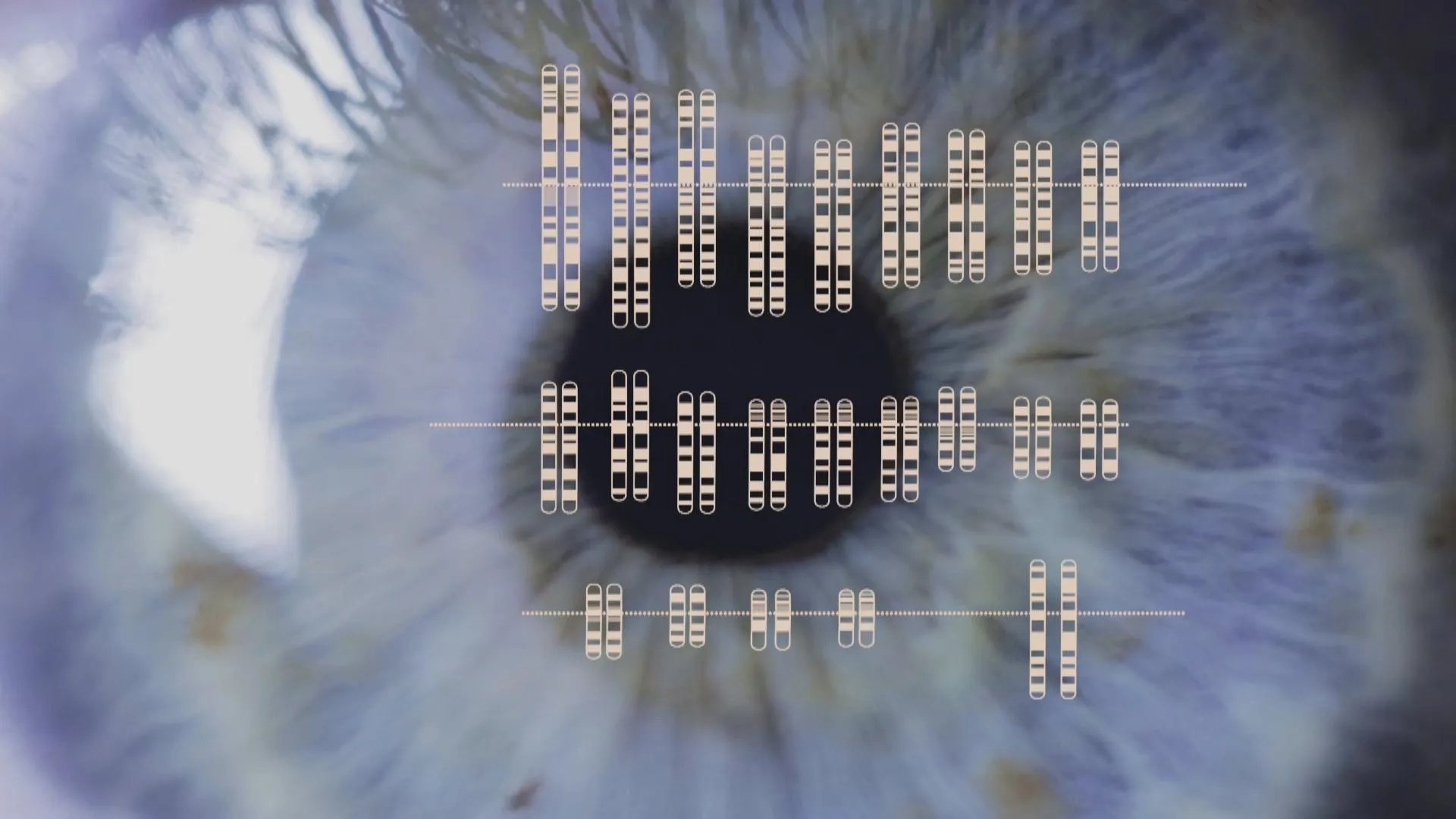 Colourful Vision Finding the Origins of Human Color Vision | Cascade PBS