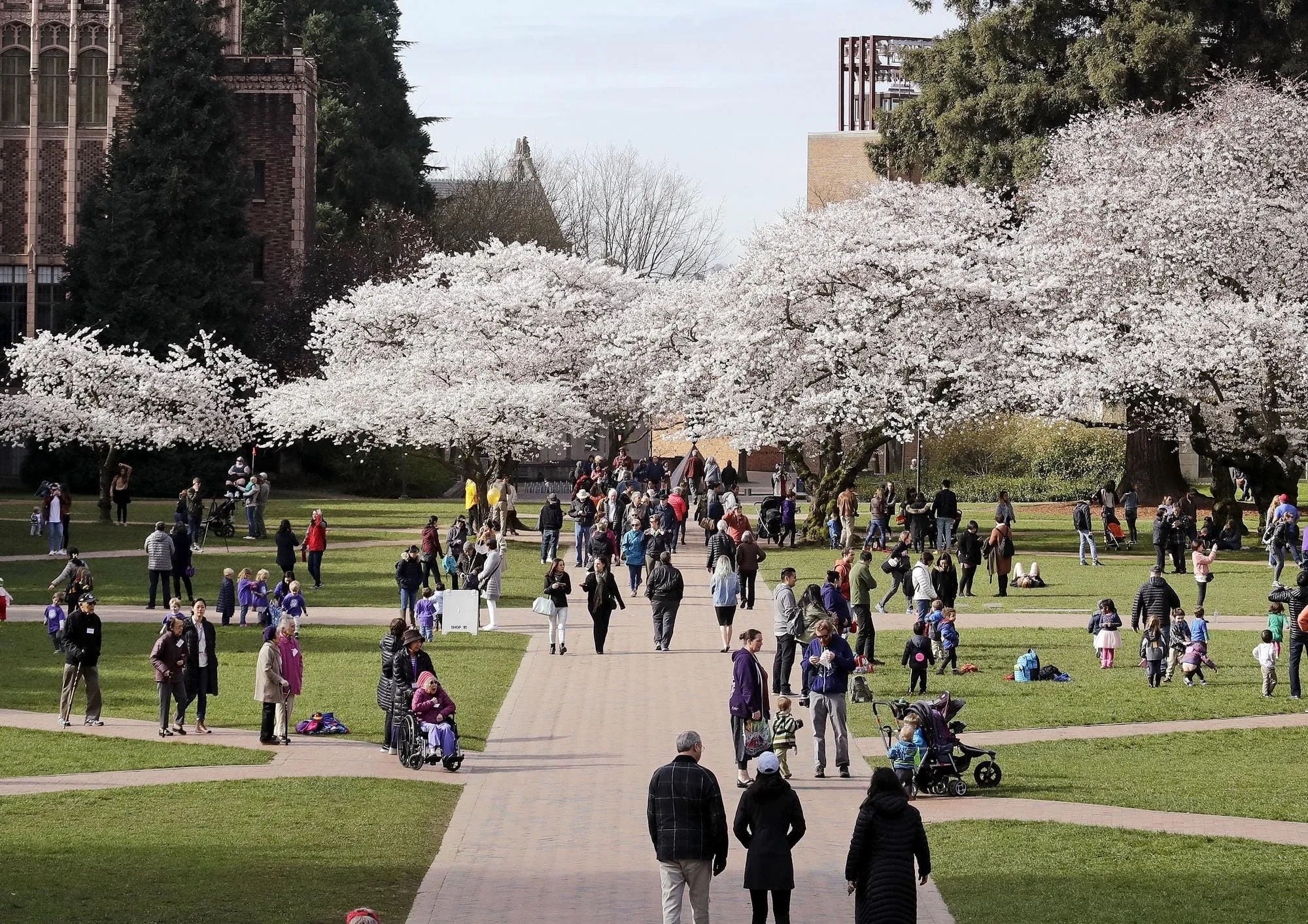 Uw Spring UW expansion sharpens debate over city’s power | Cascade PBS