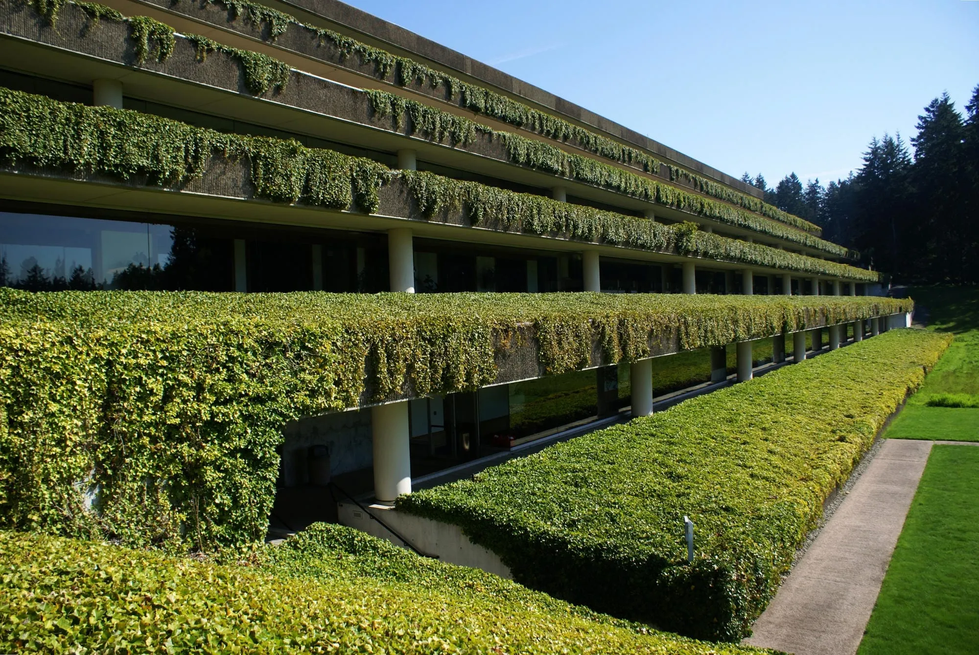 Weyerhaeuser move: A modern landmark's future in question | Cascade PBS