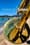 Classical Tahoe