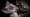 How Nocturnal Bush Babies Survive at Night