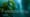 Kelp: Hidden Treasure of the Salish Sea