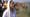Notes from the Field: Bathing in the Ganges (Kumbh Mela)