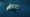 Great White Sharks