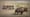 The American Buffalo: A Story of Resilience