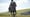 Poldark Games