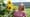 Love Eat Travel with Michelle Valentine