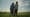 Little Bird: Wanna Icipus Kupi (Coming Home)