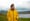 Kristin Scott Thomas Learns About the Russian Arctic Convoys